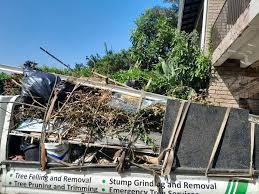 Best Scrap Metal Removal  in Algonquin, IL